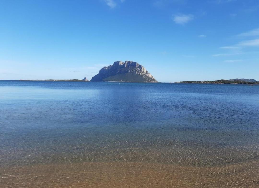 Magic Dalu Con Posto Auto Leilighet Olbia Eksteriør bilde