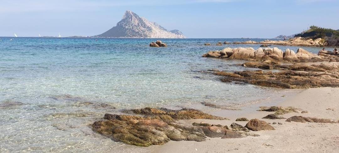 Magic Dalu Con Posto Auto Leilighet Olbia Eksteriør bilde